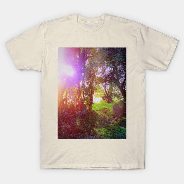 Retro Vintage Tumblr Landscape - Into The Woods T-Shirt by frantuli